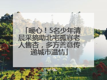暖心！5名少年清晨采摘助北宅孤寡老人售杏，多方善意传递城市温情
