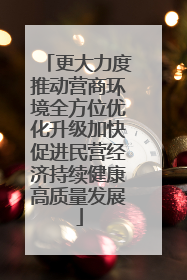 更大力度推动营商环境全方位优化升级加快促进民营经济持续健康高质量发展