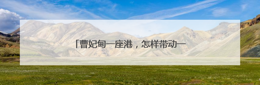 曹妃甸一座港，怎样带动一座城？人民日报记者调查