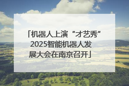 机器人上演“才艺秀” 2025智能机器人发展大会在南京召开