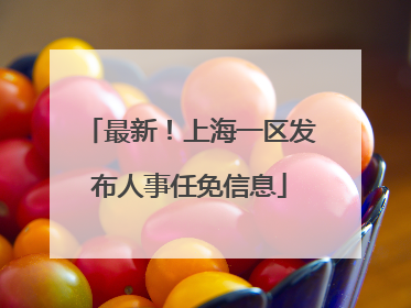最新！上海一区发布人事任免信息