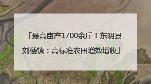 最高亩产1700余斤！东明县刘楼镇：高标准农田增效增收