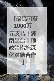 最高可获1000万元支持！湖南出台十项政策措施深化对德合作