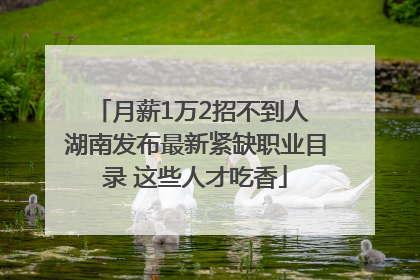 月薪1万2招不到人 湖南发布最新紧缺职业目录 这些人才吃香