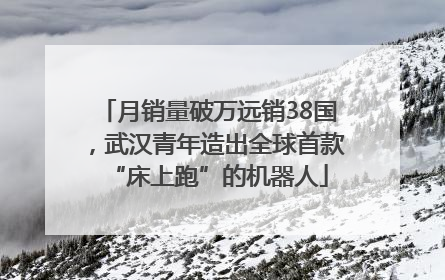 月销量破万远销38国，武汉青年造出全球首款“床上跑”的机器人