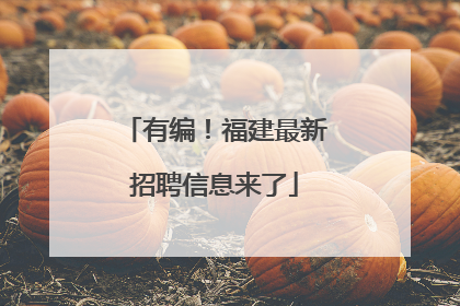 有编！福建最新招聘信息来了