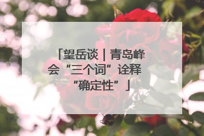 望岳谈｜青岛峰会“三个词”诠释“确定性”