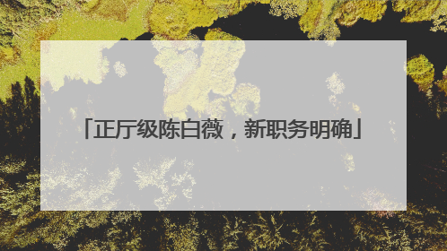正厅级陈白薇，新职务明确