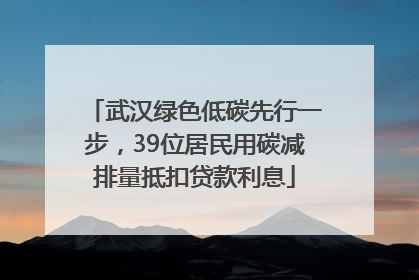 武汉绿色低碳先行一步，39位居民用碳减排量抵扣贷款利息