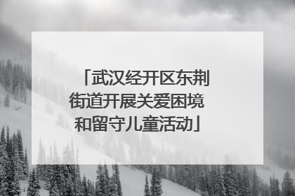 武汉经开区东荆街道开展关爱困境和留守儿童活动