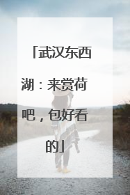 武汉东西湖：来赏荷吧，包好看的