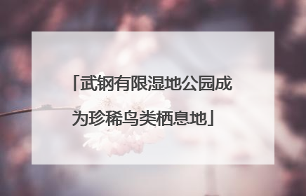 武钢有限湿地公园成为珍稀鸟类栖息地