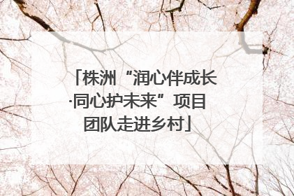 株洲“润心伴成长·同心护未来”项目团队走进乡村
