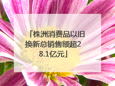 株洲消费品以旧换新总销售额超28.1亿元