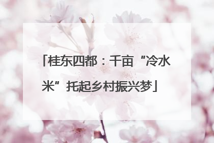 桂东四都：千亩“冷水米”托起乡村振兴梦