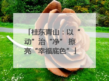 桂东青山：以“动”治“净” 擦亮“幸福底色”