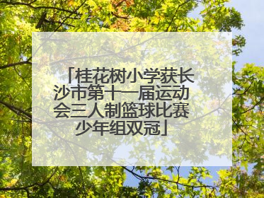 桂花树小学获长沙市第十一届运动会三人制篮球比赛少年组双冠