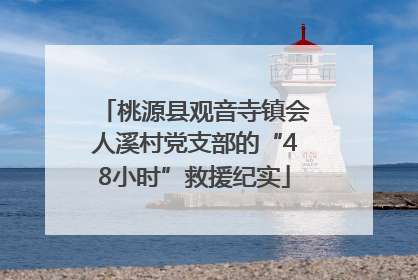 桃源县观音寺镇会人溪村党支部的“48小时”救援纪实