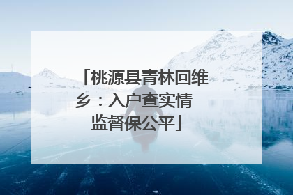 桃源县青林回维乡：入户查实情 监督保公平