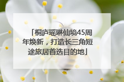 桐庐瑶琳仙境45周年焕新，打造长三角短途旅居首选目的地