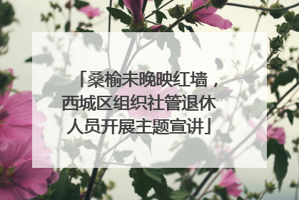 桑榆未晚映红墙，西城区组织社管退休人员开展主题宣讲