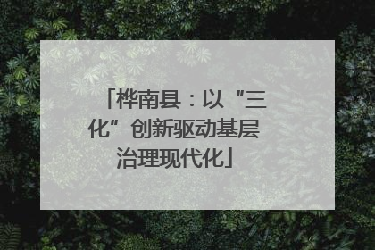 桦南县：以“三化”创新驱动基层治理现代化