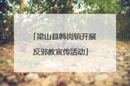 梁山县韩岗镇开展反邪教宣传活动