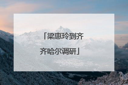 梁惠玲到齐齐哈尔调研
