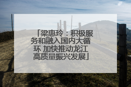 梁惠玲：积极服务和融入国内大循环 加快推动龙江高质量振兴发展