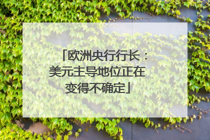 欧洲央行行长：美元主导地位正在变得不确定