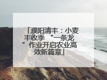 濮阳清丰：小麦丰收季 “一条龙”作业开启农业高效新篇章