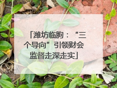 潍坊临朐：“三个导向”引领财会监督走深走实
