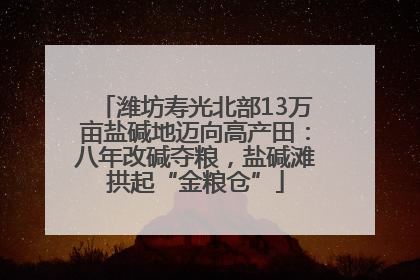 潍坊寿光北部13万亩盐碱地迈向高产田：八年改碱夺粮，盐碱滩拱起“金粮仓”
