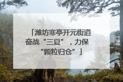 潍坊寒亭开元街道奋战“三夏”，力保“颗粒归仓”