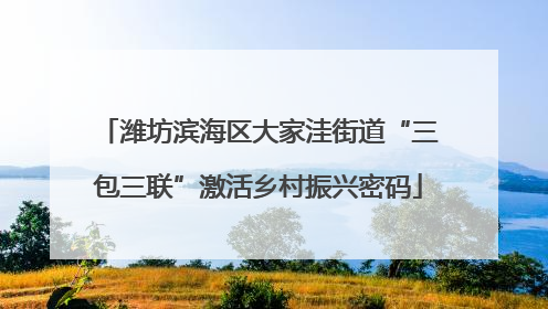 潍坊滨海区大家洼街道“三包三联”激活乡村振兴密码