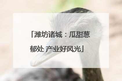 潍坊诸城：瓜甜葱郁处 产业好风光