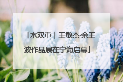 水双重｜王敏杰·余王波作品展在宁海启幕