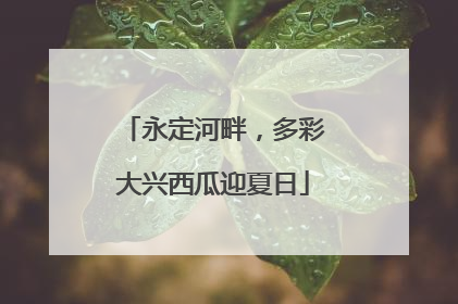 永定河畔，多彩大兴西瓜迎夏日