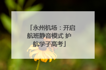 永州机场：开启航班静音模式 护航学子高考