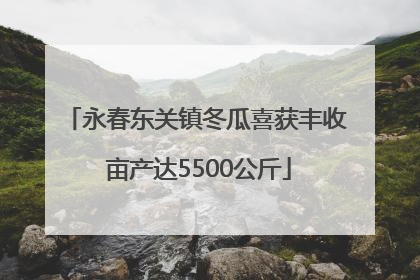 永春东关镇冬瓜喜获丰收 亩产达5500公斤
