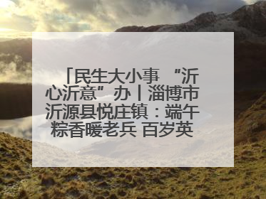民生大小事 “沂心沂意”办丨淄博市沂源县悦庄镇：端午粽香暖老兵 百岁英雄述峥嵘
