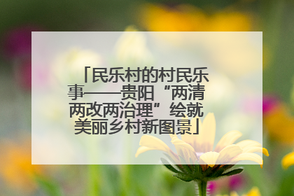 民乐村的村民乐事——贵阳“两清两改两治理”绘就美丽乡村新图景