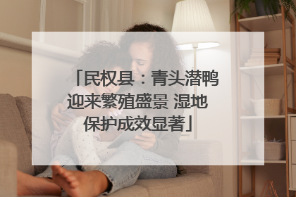 民权县：青头潜鸭迎来繁殖盛景 湿地保护成效显著
