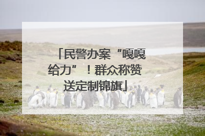 民警办案“嘎嘎给力”！群众称赞送定制锦旗