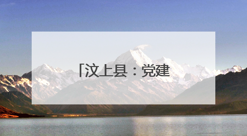 汶上县：党建引领聚动能 组团发展促共富