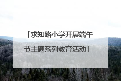 求知路小学开展端午节主题系列教育活动