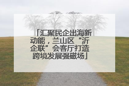 汇聚民企出海新动能，兰山区“沂企联”会客厅打造跨境发展强磁场