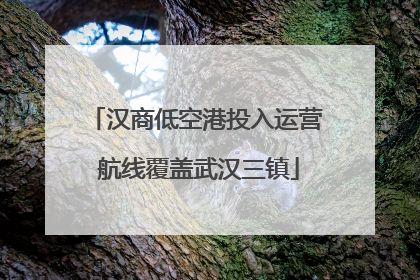 汉商低空港投入运营 航线覆盖武汉三镇