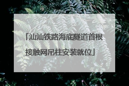 汕汕铁路海底隧道首根接触网吊柱安装就位