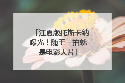 江夏版托斯卡纳曝光！随手一拍就是电影大片